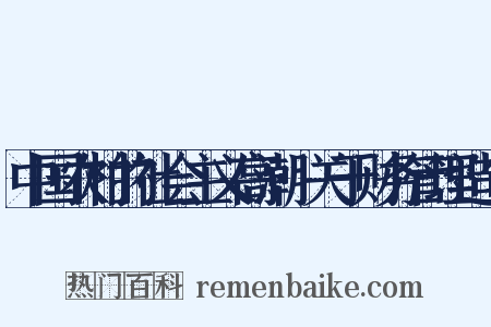 中国农村的社会主义高潮·关于财务管理造句是什么意思的图片
